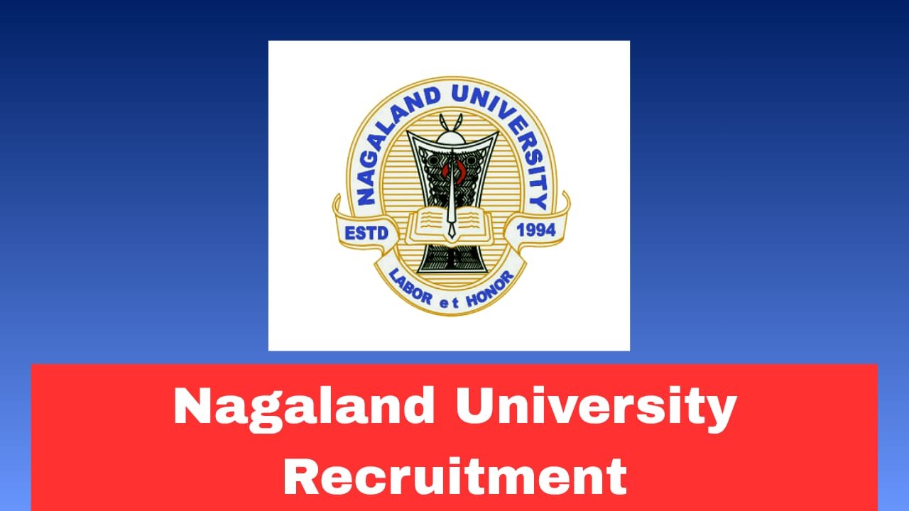 NU Project Assistant Recruitment 2026 Apply Now Online Fast